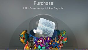 NEW CSGO CAPSULE (2021 Community Sticker Capsule Unboxing)