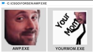 C:CSGOFORSENAWP.EXE