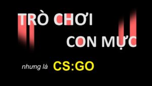 TRÒ CHƠI CON MỰC PHIÊN BẢN CSGO | SQUID GAME, BUT IT’S CSGO | CAFE CSGO