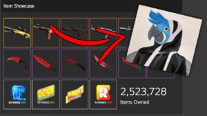 St4ck gets back into CSGO skins ($1 Million Inventory Reveal) | Heyzeus Clips