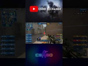 Hampus's amazing 4k | NIP Vs Vitality | CSGO #Shorts