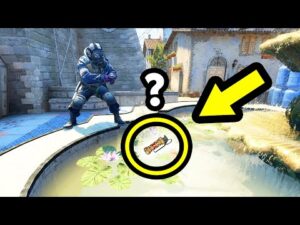 2022 SECRET DECOY GLITCH! - CS:GO BEST ODDSHOTS #532