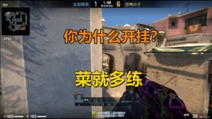 【CSGO监管】亚洲第一狙直播遭遇外挂，五人顶级车队艰难取胜