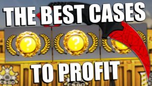 I Opened The LEAST-BAD CS:GO Cases (BIG PROFITS) | TDM_Heyzeus