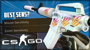 Low Sensitivity CS:GO = Best CS:GO