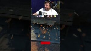 Дося против куриц #Shorts #Csgo #Ксго