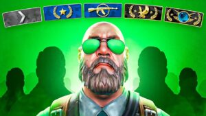 I played in Every Rank in CS:GO