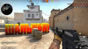 CS:GO ПУТЬ ДО ГЛОБАЛА - ШАЛЬНАЯ