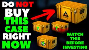 Why YOU Should NOT INVEST In THIS RIGHT NOW! | CSGO Investing