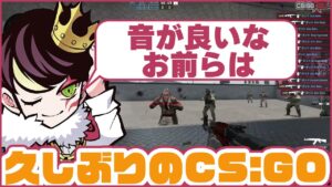 久しぶりにCSGOを遊んでみるnethさん【neth切り抜き】