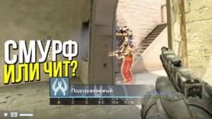 ЭТО СМУРФ? - ПАТРУЛЬ CS:GO