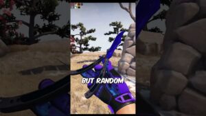 The Most Expensive CSGO Loadout...