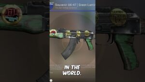 The Weirdest CSGO Collector is Back...