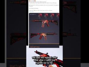 250K euro for a CSGO skin??? #csgo #gaming #zipel