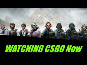 Watching CSGO: 🔹 Cloud9 vs 9INE 🔹 | 👍 2023