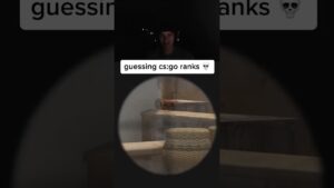 SINATRAA GUESSING CS:GO RANKS 💀