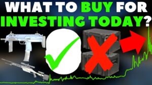 What Should YOU Buy Right Now If YOU Want To Invest | CS2/CSGO Investing