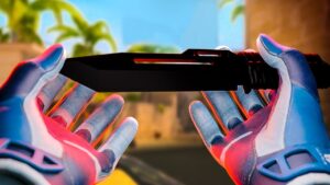 Ganhei uma PARACORD KNIFE para um INSCRITO no CSGO 🤑