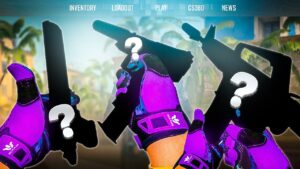 Ganhei o "KIT" mais LINDO do CSGO para um INSCRITO ( mais de R$1.400,00 )