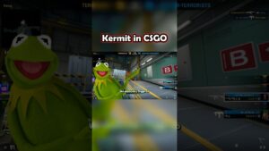 Kermit Plays CSGO!