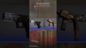 DAY 138 Opening a case everyday #csgo