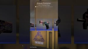 DAY 141 Opening a case everyday #csgo