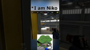 I am (not) Niko 🤡 (Counter Strike) ( #gaming #counterstrike #csgo)