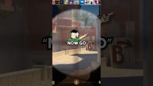 Nogla DESTROYS Wildcat in CS:GO? 💯😤