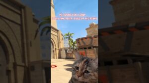CS2 || MP9 would work Please 😞  #csgo #gaming #gameplay #shorts #cs2