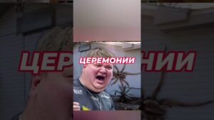СИМПЛ ОБИДЕЛ МЕССИ #shorts #cs2 #csgo #кс2 #ксго