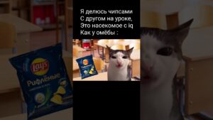 кот хрустит мем#shorts #mem #memes #csgo #minecraft #cat #gtav #мемы #мем #музыка