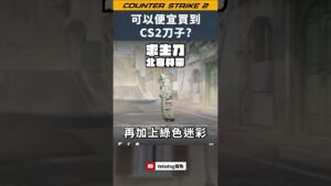 2500元在CS2可以買到什麼刀？