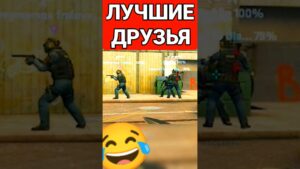 Лучшие друзья #csgo #cs2 #ксго #друзья #симулятор
