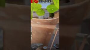 Inferno - Smoke Top Banana from A Site #csgo #gaming #cs2