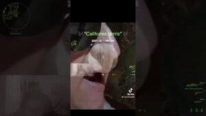 They forgot… #funny #gaming #streamer #csgo #twitch #memes #capcut #ohnepixel #cs #games #cs2