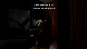 Только отвернулся ....... #cs #cs2 #faceit #игры #csgo #жиза