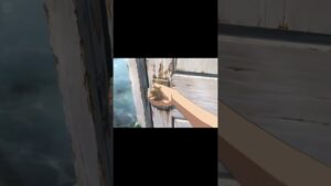 Просто попросил девушку открыть кейс! #cs2 #cs2clips #cs2funnymoments #кс2 #кс2моменты #csgo
