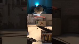 Увернулся #строго #csgo twitch: strogo1337