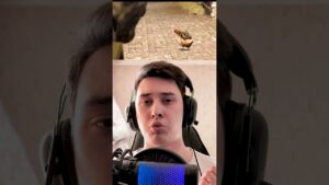 КУРИЦЫ ТАСКАЮТ ПАЧКУ В #cs2 #csgo #ксго