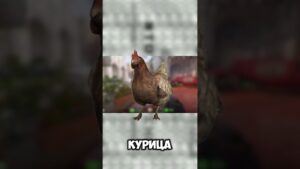 КУРИЦЫ СОШЛИ С УМА ?! |  #cs2 #csgo