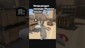 Самый лучший дигл #cs2 #котик #shorts #cs2funny #csgo