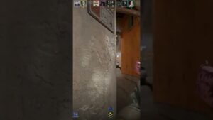 4K De Free #csgo #counterstrike2 #counterstrikego