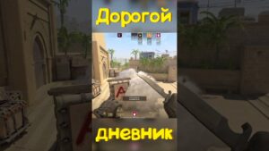 Дорогой Дневник...  #funny #cs2 #csgo