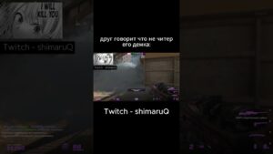 😡читер?😡 twitch - shimaruQ #comedy #meme #twitch #funny #csgo #cs #cs2 #clips