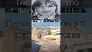twitch.tv/xdvchmo | ТОТ САМЫЙ ПЕРЕВОДЧИК #csgo #memes #cs2 #counterstrike #ксго #twitch #твич #fyp