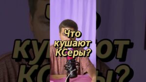 Что кушают Ксеры? #cs #cs2 #csgo