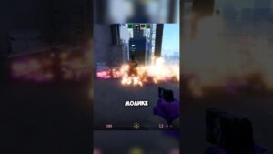 НОВЫЕ АНИМАЦИИ И КУРИЦЫ 🐔 #csgo #dota2 #fortnite #s1mple #standoff2 #стандофф2 #ксго #стрим