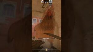 норм обнова? #standoff2 #csgo #counter #стандофф2 #source #мем #cs #кс #pubg #кс2 #cs2 #funmoments