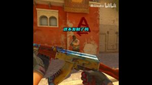"掏出这把枪瞬间..市场已经崩一半了" #csgo #cs2overpass #遊戲